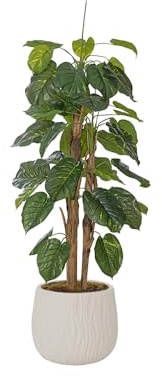 70.6'' Artificial Devil's Ivy in a Shell Designed fiberstone Planter Perfect for Indoor and Outdoor use