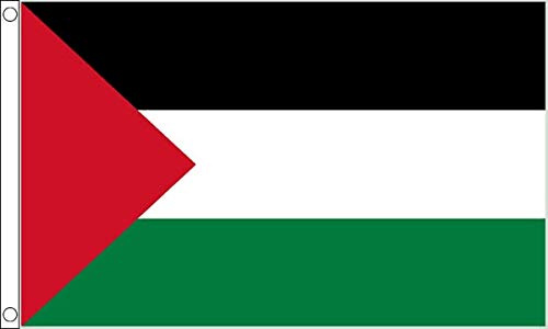 Bandera de Palestina Pequeña - 3 x 2 pies - 100% poliéster con ojales - FlagSuperstore©