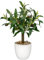 Hollyone 37CM Artificial Olive Plant in Pot, Fake Olive Potted Plant Artificial Plant, Decorative Faux Greenery with White Pot for Home Decor, Bathroom, Living Room, Kitchen, Shelf, Table Decorations