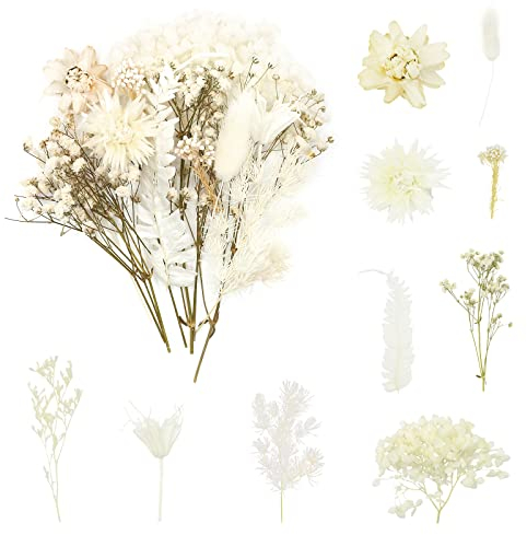 ANLIOTO Trockenblumen Weiß, Mini Trockenblumen Klein Beige zum Basteln Deko für Getrocknete Blumen Hochzeit Deko