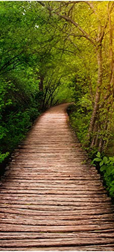 wandmotiv24 Türtapete Holz-Weg in den Wald, Bäume, Natur, Steg 70 x 200cm (B x H) - selbstklebend Vlies 150g Sticker für Türen, Türfolie, Aufkleber, M1077
