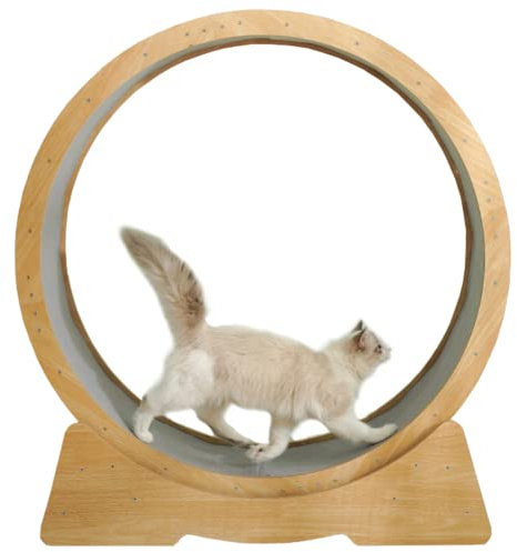 DIIDIIFF Katzen-Trainingsrad für Hauskatzen, Innendurchmesser 42,5 Zoll, groß, einfach zu montieren, mit Verriegelungsmechanismus, geeignet für die meisten Katzen