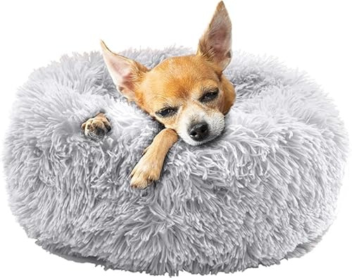 Fur & Bone Hundebett rund 40 cm in Grau, waschbares Plüsch Hundebett, Donut Hundebett für kleine Hunde und Katzen, Flauschiges Hunde Bett mit Rutschfester, wasserdichter Unterseite für Zuhause