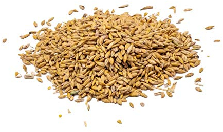 STAWA Braugerste - Futtergerste 25 kg ohne Gentechnik