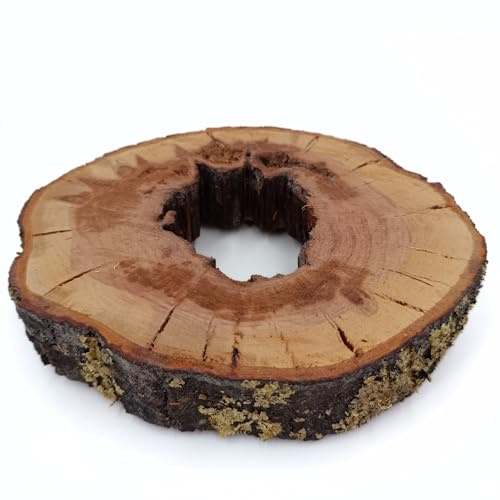 Dessous de Plat en Bois Brut, Rustique, 20 cm, Fait Main, Tranche d'arbre Naturelle, Artisanat Français, WINFOX777