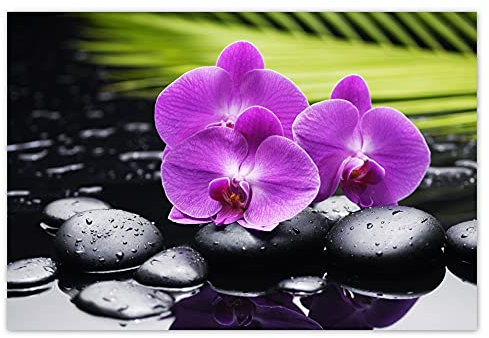 Mantiburi H907M_NS1DB Sticker mural Motif orchidée sur des pierres 155 x 105 cm