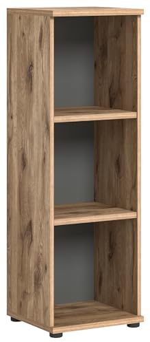 xonox.home Büro Mason X12B8520 Regal Stauraum 3 offene Fächer in Nox Oak Nb. Absetzungen Basalt grau Nb., ca. 40x122x37 cm