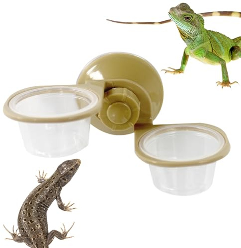 Mangeoire pour Reptiles à Ventouse, Bol de Nourriture à Ventouse pour Reptiles - Plat d'eau à Double Bol,Tasse d'alimentation pour, de Nourriture et d'eau pour, de