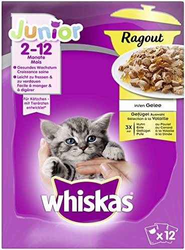Whiskas Junior Ragout – Hochwertiges Katzennassfutter in 48 Portionsbeuteln für Katzen von 2 - 12 Monaten – Geflügel Auswahl in Gelee für Kätzchen – 4er Pack (4 x 12 Portionsbeutel à 85g)
