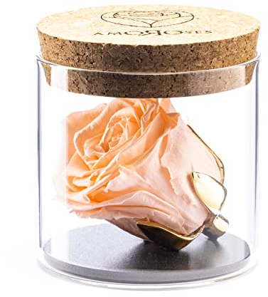 Amoroses Bijou - Ewige stabilisierte Rose mit 24 Karat vergoldetem Kelch im Glasgefäß | Geschenkidee