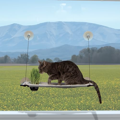 K&H Pet Products Window Lounger with Oat Grass, Cat Window Perch for Large Cats, Farmed in USA, Non-GMO Grass Kit, Sturdy Kitty Sill Window Hammock Bed, Steel Frame, Sturdy Suction Cups - 23 X 12in
