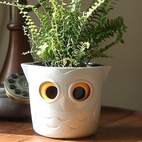 Aurexis Deko Blumentopf Eule mit Füllstandsanzeige – Pflanztopf in Eulenform mit Augen-Design – Indoor Blumentopf für Zimmerpflanzen – Weißer Übertopf mit Wasserstandsanzeige