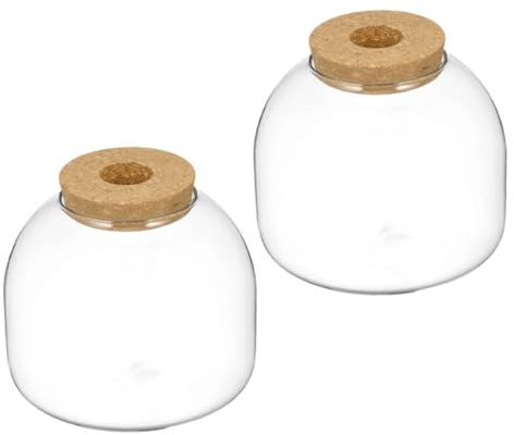 Toyvian 2 Pièces Bouteille Terrarium pour Micro Paysage avec Bouchon Vase Décoratif pour Plantes Aquatiques et pour Décoration de Maison et Événements