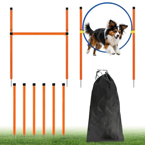 Hunde-Agility-Parcours-Garten-Set Trainingsgerät mit Tunnel | Hunde-Outdoor-Spielgeräte Für Strände, Spielplätze, Felder, Wettkämpfe, Freizeitgestaltung, Parkanlagen, Gartenanlagen und