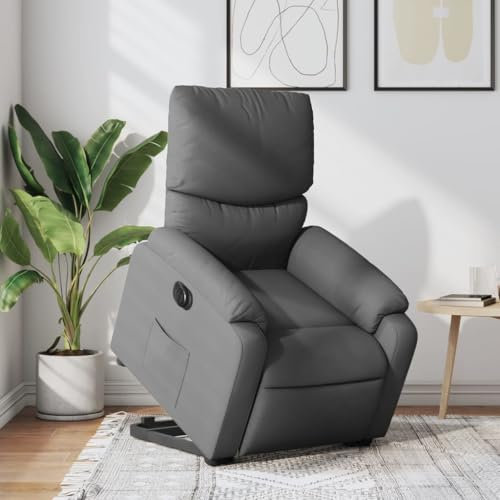 IKAYAA Elektrischer Fernsehsessel mit Aufstehhilfe Elektrisch Verstellbar Sessel Wohnzimmer Relaxsessel mit Liegefunktion Aufstehsessel Relaxliege Schlafzimmer Liegesessel Lesesessel Bequem