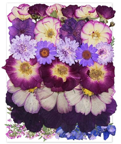TrendCart Große Lila Pressblumen, Echte Natürliche Trockenblumen Groß, für Resin, Basteln, Nageldesign, Kerzen, Seife, Telefonhüllen und DIY Schmuck