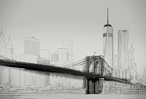 Fotomural de Nueva York (3,84 x 2,6 m), color blanco y negro