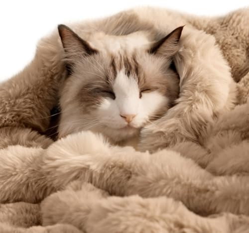 SOMAHE Self-Warming Cat Blanket, Dual-Side Plush Sherpa Throw with Anti-Static, Snuggle Mat for Kittens & Cats, Cozy Bed Topper for Windowsills & Couches, Machine Washable & Dryable, 21x18 Inch Coffee