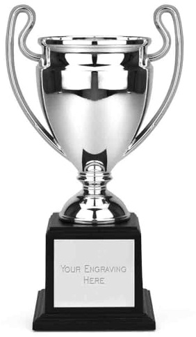 TROPHIESPLUSMEDALS Classic Silver Champion Trophy Cup - 19.5cm, Large Winners Trophy for Sports and Leagues – Weighted Plastic Trophy Award on a Black Base with Personalised Engraving