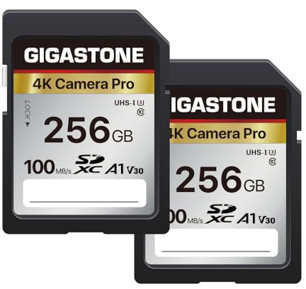 GIGASTONE 256GB SDXC Speicherkarte 2er-Pack, 4K Kamera Pro, bis zu 100 MB/s, für Videoaufnahmen mit Digitalkameras von Canon Olympus, A1 V30 UHS-I U3 Klasse 10
