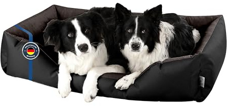 BedDog Hundebett LUPI Hundekissen Hundekorb mit Waschbarem Bezug | Hundesofa Schlafplatz und Liegeplatz für Alle Hunderassen, Formstabil Gepolstert, Sechs Größen von S bis XXXL
