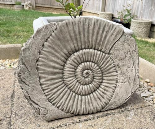 Statue en pierre d'ammonite fossile | Décoration de jardin en forme de dinosaure