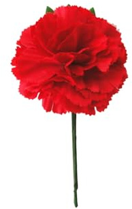 Clavel mediano accesorio para el cabello (ROJO)
