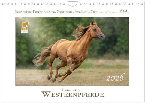 Faszination Westernpferde (Wandkalender 2026 DIN A4 quer), CALVENDO Monatskalender: Westernpferde in ihrer ganzen Schönheit (CALVENDO Tiere)