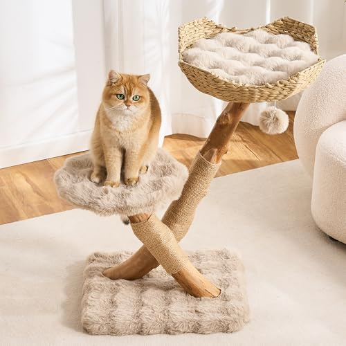 797Audio Natural Real Wood Cat Tree, Modern Solid Wood Cat Tower for Indoor Cats, 33“ Pear Wooden Branch Woven Aesthetic Cat Tree with Scratching Post & Hanging Ball for Adult Kittens-Khaki