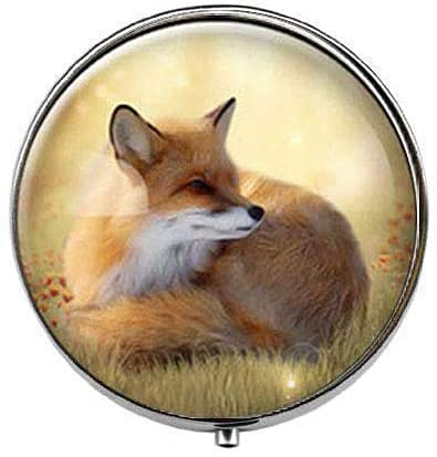 Adorable renard – Boîte à pilules avec photo d'art – Boîte à bonbons en verre