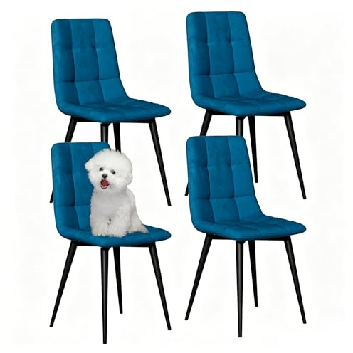 YLGJ&TIDY Esszimmerstühle 4er Set, Samt Esszimmer Stuhl mit Dicker Polsterung & Robuster Metallrahmen,Ergonomisches Design Küchenstühle für Essbereich, Wohnzimmer und Schlafzimmer, (Blau, 4er Set)