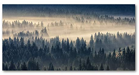 Tulup Splashback 39.37x19.68 inch / 100x50cm Glass Panel Tempered Kitchen Splash-back Protection Induction Cooker Wall Toughened Safe - Gray fog over the forest, Yellow Black