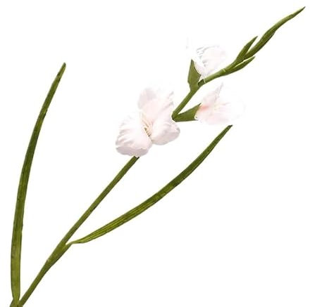 HXSCOO Simulation Einzelne Gladiole Wind Hause Dekoration Simulation Blume Hotel Rezeption Dekoration Schießen Requisiten Blume(Weiß)