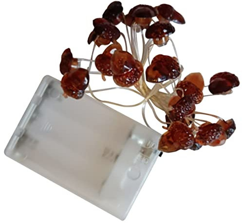 FONDOTIN Led Zapfen Lichterkette Leds Warmweißes Dekolicht Mit Timer Batteriebetrieben Für Herbstliche Innenräume Party Thanksgiving Und Festliche Raumgestaltung