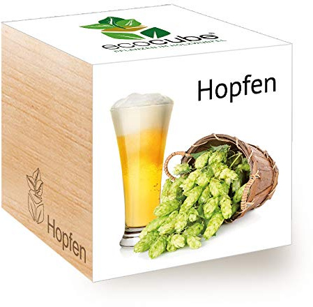 Feel 296343 Green Ecocube Hopfen, Nachhaltige Geschenkidee (100% Eco Friendly), Grow Your Own Craft Beer/Anzuchtset, Pflanzen Im Holzwürfel, Made in Austria