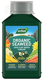 Westland Organic Seaweed Plant Growth Stimulant Liquid Plant Food 1 Litre, Green