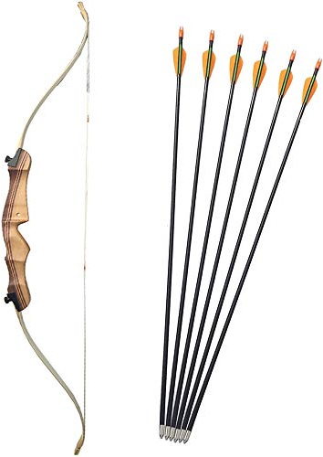 ZSHJG Jeu d'arc et de flèche Ensemble Arc Recourbé de Takedown et tir à l'arc Arc 18lbs-20lbs Arc Droit Takedown Arc Long avec 6pcs Flèches en Fibre de Verre (20lbs)