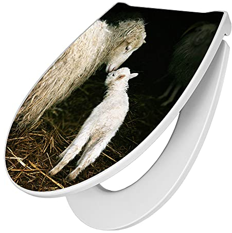 banjado Premium Toilettendeckel mit Absenkautomatik 45x38,4cm / WC Brille Soft Close/hygienischer Toilettendeckel/Klodeckel Duroplast mit Edelstahl Scharnier/Motiv Schaf Und Lamm