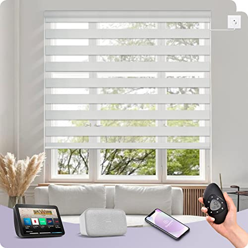 Graywind Motorisierte Doppelrollo mit Strukturierter Webart, Verdunkelung & Lichtdurchlässig, nach Maß Elektrische Duo Rollo für Fenster, Festverdrahtet, Alexa Google Kompatibel, Luxury Silver White