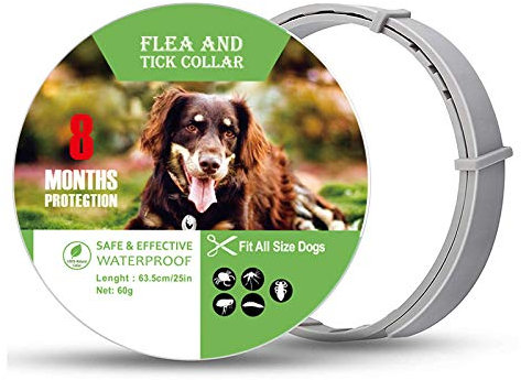 Collier Anti-puces et Anti-tiques pour Chiens et Chats,Traitement Contre Les tiques Contre Les puces pour Chien et Chat,Étanche Naturel Sûr Taille réglable,Protection de 8 Mois(Grand)