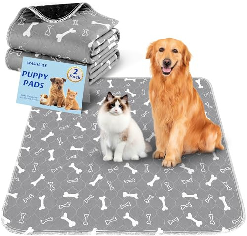 Baodan Alese Chien, Tapis Absorbant Chien 60x60cm 2pc Tapis Chien Lavable | Anti-Fuite et Résistante Alaise pour Chien, Tapis de Propreté Chien avec Fond Antidérapant, Apprentissage de la Propreté