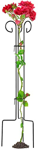 KADAX Rankhilfe aus Stahl, freistehende Pflanzenstütze für Rosen, Kletterpflanzen, Efeu, Garten, wetterfeste Kletterhilfe, Blumenstütze, Strauchstütze, Staudenhalter, schwarz (Höhe: 120 cm)