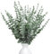 RXKFIGX 30PCS Artificial Eucalyptus, Eucalyptus Stems, Natural Eucalyptus Dried Flowers, Eucalyptus Leaves, Dried Eucalyptus Artificial Plant Branches for Bouquet, Wedding Parties, Party, Home