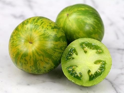 Green Zebra Tomatensamen – gestreifte grün-gelbe Tomate mit würzig-frischer Note | alte, samenfeste Sorte aus Portugal | aromatisch, dekorativ & ertragreich | naturbelassen & handverpackt – 25 Samen