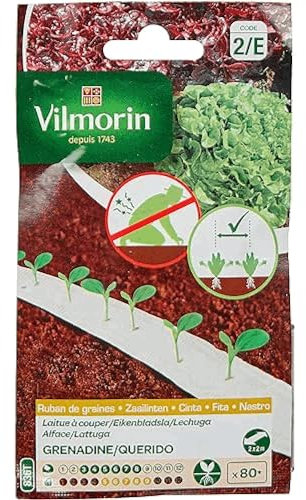 VILMORIN Ruban Mélange Seeds Duo de Laitues A Cooper Mug 2 x 2 m