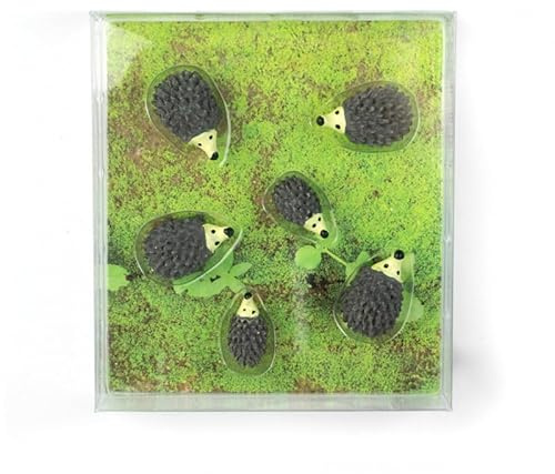 Kraftheld | 6er Set Deko-Magnete Hedgehog | Igel-Magnete, Zoo | bunt, dekorativ, farbenfroh | Kühlschrankmagnete in Form von Tieren | Magnet-Deko als Geschenk