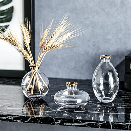 Hniuyun 3Pcs/Set Glass Vase, Small Mini Flowers Bud Vases, Transparent Hydroponic Vase Minimalist Aesthetic Home Decor (Clear)