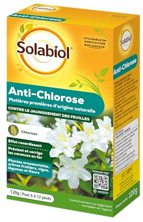 SOLABIOL Anti-Chlorose - Pour 6 à 12 Pieds - 120g | Effet Reverdissant - Contre le Jaunissement - Plantes Ornementales - Utilisable en Agriculture Biologique - SOFER120