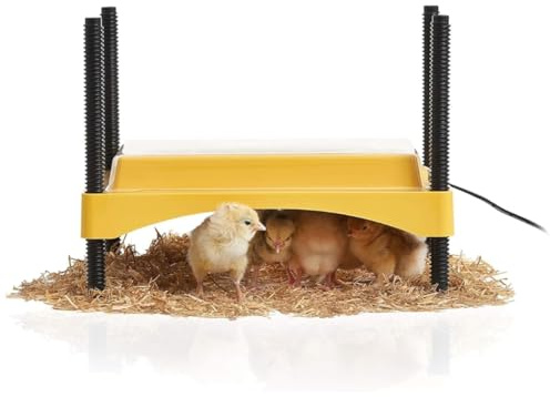 Brinsea Ecoglow Safety 600 Couveuse pour poussins ou canetons, hauteur et angle réglables, idéale pour les poulaillers avec indicateur de sécurité, 12 W