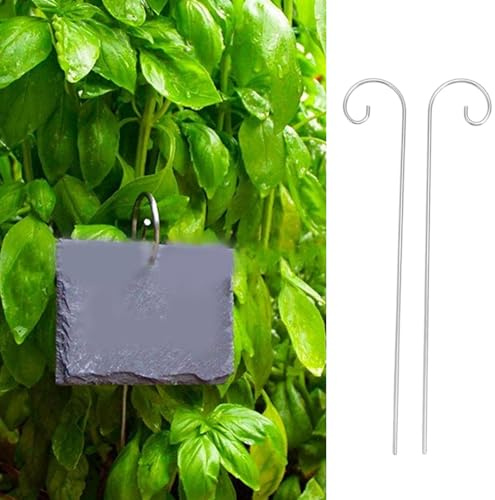30 Ganci per Etichette per Piante, Marcatori da Giardino in Acciaio Inossidabile, Supporto per Etichette per Piante, Gancio per Etichette per Piante, Ganci per Cartelli per